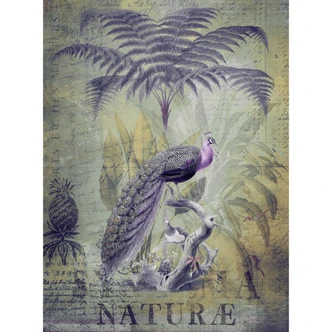Livingwalls Fototapete ARTist Peacock Jungle mit Dschungel und Pfauen grau, grün, violett 