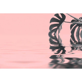 Livingwalls Fototapete ARTist Monstera Leaf Water mit Fensterblatt grau, rosa 