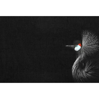Livingwalls Fotobehang ARTist Crowned Crane 