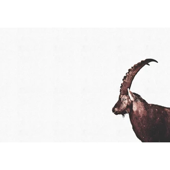 Livingwalls papier peint photo ARTist Capricorn Snow 