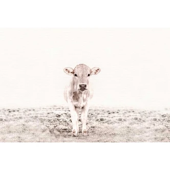Livingwalls papier peint photo ARTist Highland Cattle 