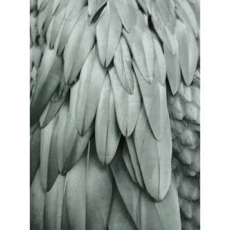 Livingwalls papier peint photo ARTist Feathers vert 