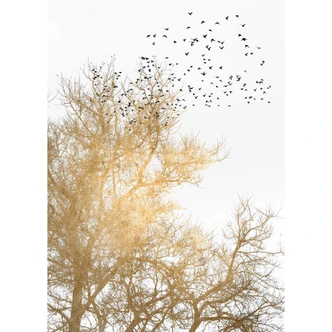 Livingwalls papier peint photo ARTist Golden Skies 