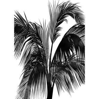 Livingwalls Fototapete ARTist Sunset Boulevard mit Palmenblättern schwarz, weiß Livingwalls Fototapete ARTist Sunset Boulevard mit Palmenblättern schwarz, weiß