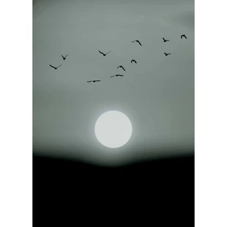 Livingwalls Fotobehang ARTist Kubistika - Winter Lights 