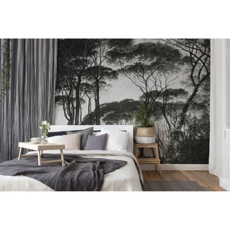 Fototapete Atelier 47 Treetops Wald - Architects Paper  