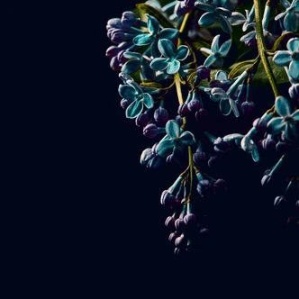 DarkFlowers2 bloemen behang zwart paars - vliesbehang Designwalls 2 - 2,55 x 3,5 m 