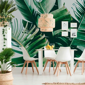 Fototapete Natur PalmFronds1 in grau grün - Vliestapete Designwalls 2 - 2,55 x 3,5 m 