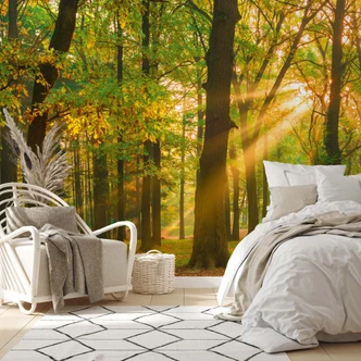 Fototapet med solstrålar grönbrun - Icke-vävd tapet 3,75 m x 2,50 m naturmotiv Fototapet med solstrålar grönbrun - Icke-vävd tapet 3,75 m x 2,50 m naturmotiv