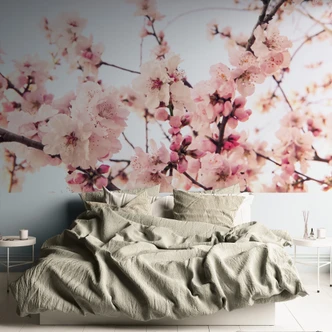 Fototapet lyserød hvid - Ikke-vævet tapet 3,75 m x 2,50 m delikat blomstermotiv 