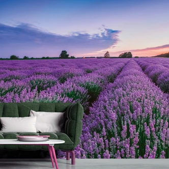 Fototapet lilla blå - Ikke-vævet tapet 3,75 m x 2,50 m blomstermark Provence 