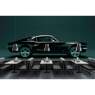 Livingwalls Photo Wallpaper Walls by Patel 2 mustang 1 Livingwalls Photo Wallpaper Walls by Patel 2 mustang 1