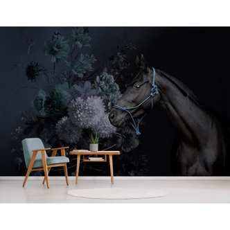 Livingwalls Photo Wallpaper Walls by Patel horses 2 