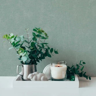 Papier peint monochrome menthe unie - papier peint intissé moderne pour le salon 