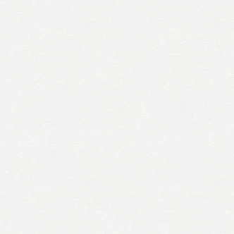 A.S. Création Vliesbehang Meestervlies Pro Protect 2 Wit, overschilderbaar 