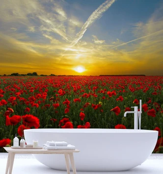 Fototapete, Mohnblumen Wiese Natur 