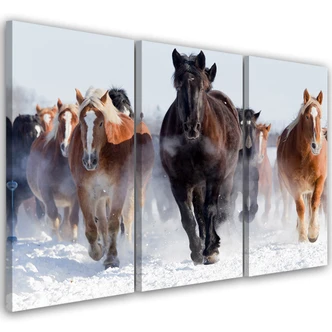 Leinwandbild 3-teilig, Quarter Horses Galloping Winter 