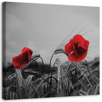 Leinwandbild, Rote Mohnblumen 