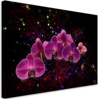 Leinwandbild, Orchidee Rosa Blumen Spa 