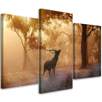 Leinwandbild 3-teilig, Hirsch Wald Sonnenaufgang Natur 