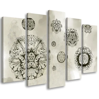 Leinwandbild 5 teilig, Florale geometrische Formen 