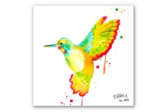 Wandbild Buttafly - Kolibri - quadratisch 