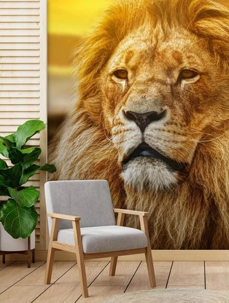 Fototapete, König der Löwen Fototapete, König der Löwen