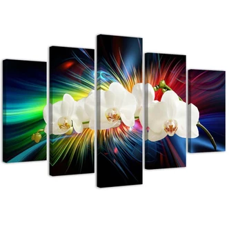 Leinwandbild 5 teilig, Bunte Orchidee 