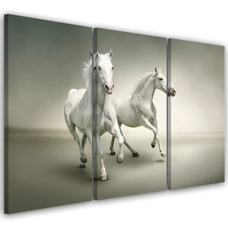 Leinwandbild 3-teilig, Weiße Pferde Galoppierende Tiere Leinwandbild 3-teilig, Weiße Pferde Galoppierende Tiere