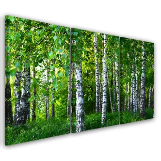 3-delige canvasprint, berkenbosgroen 