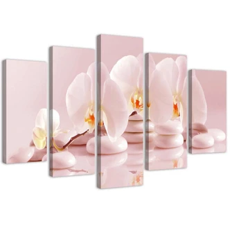 Leinwandbild 5 teilig, Rosa Blume Orchidee 