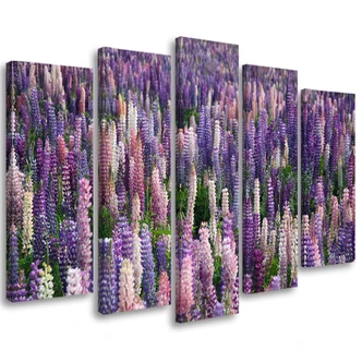 Leinwandbild 5 teilig, Lila Blumen Wiese Pflanzen 