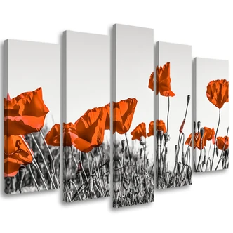 Leinwandbild 5 teilig, Roter Klatschmohn 