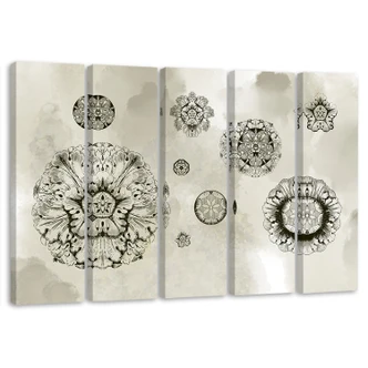 Leinwandbild 5 teilig, Florale geometrische Formen 