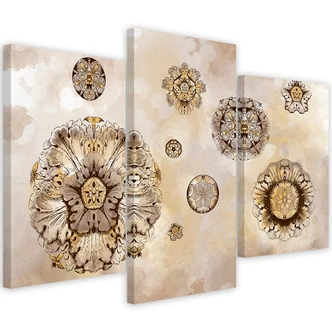 Leinwandbild 3 teilig, Florale geometrische Formen 