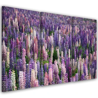 Leinwandbild 3-teilig, Lila Blumen Natur Wiese 