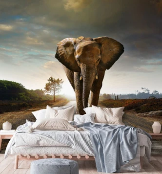 Fototapete, Elefant Tier Weg 