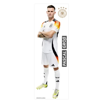 DFB Sticker EM für die Wand, Wandtattoo - Groß 