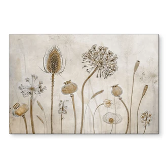 Wandbild Trockenblumen - Disher - Alu-Dibond 