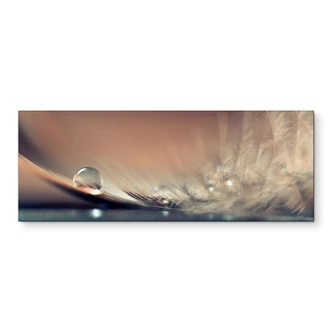 Wandbild Story of a Waterdrop - Dmitry - Panorama - Alu-Dibond 