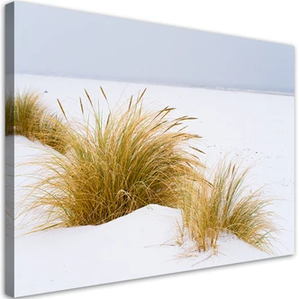 Leinwandbild, Dünen auf goldenem Sand 