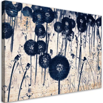 Leinwandbild, Pusteblume auf alten Brettern 