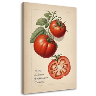 Leinwandbild Obst Weinlese Tomate 