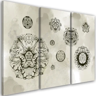 Leinwandbild 3 teilig, Florale geometrische Formen 
