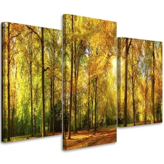 Leinwandbild 3-teilig, Wald Baum Herbst Gelb 