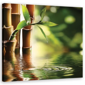 Leinwandbild Zen-Bambus Leinwandbild Zen-Bambus