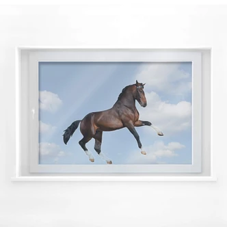 Fensterbild Real acting Horse Fensterbild Real acting Horse