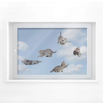 Window sticker real baby cats set 01 Window sticker real baby cats set 01