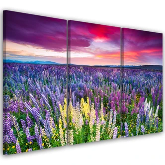 Leinwandbild 3-teilig, Blumenwiese Lavendel Landschaft 