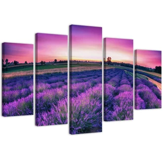 Leinwandbild 5 teilig, Lavendel Lila Feld 